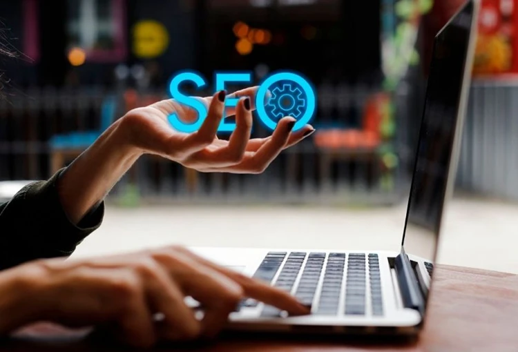 Çatalzeytin Web Site Tasarımcı